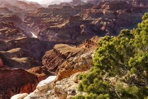 10.T. Grand Canyon 016